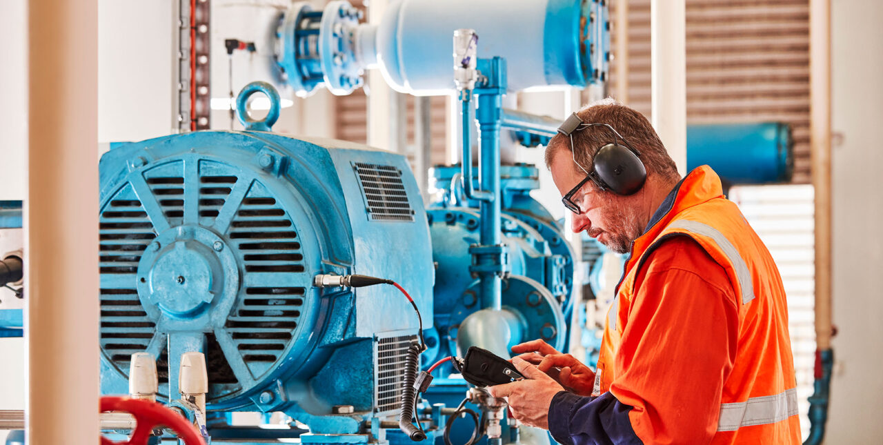 Audits & Optimisation